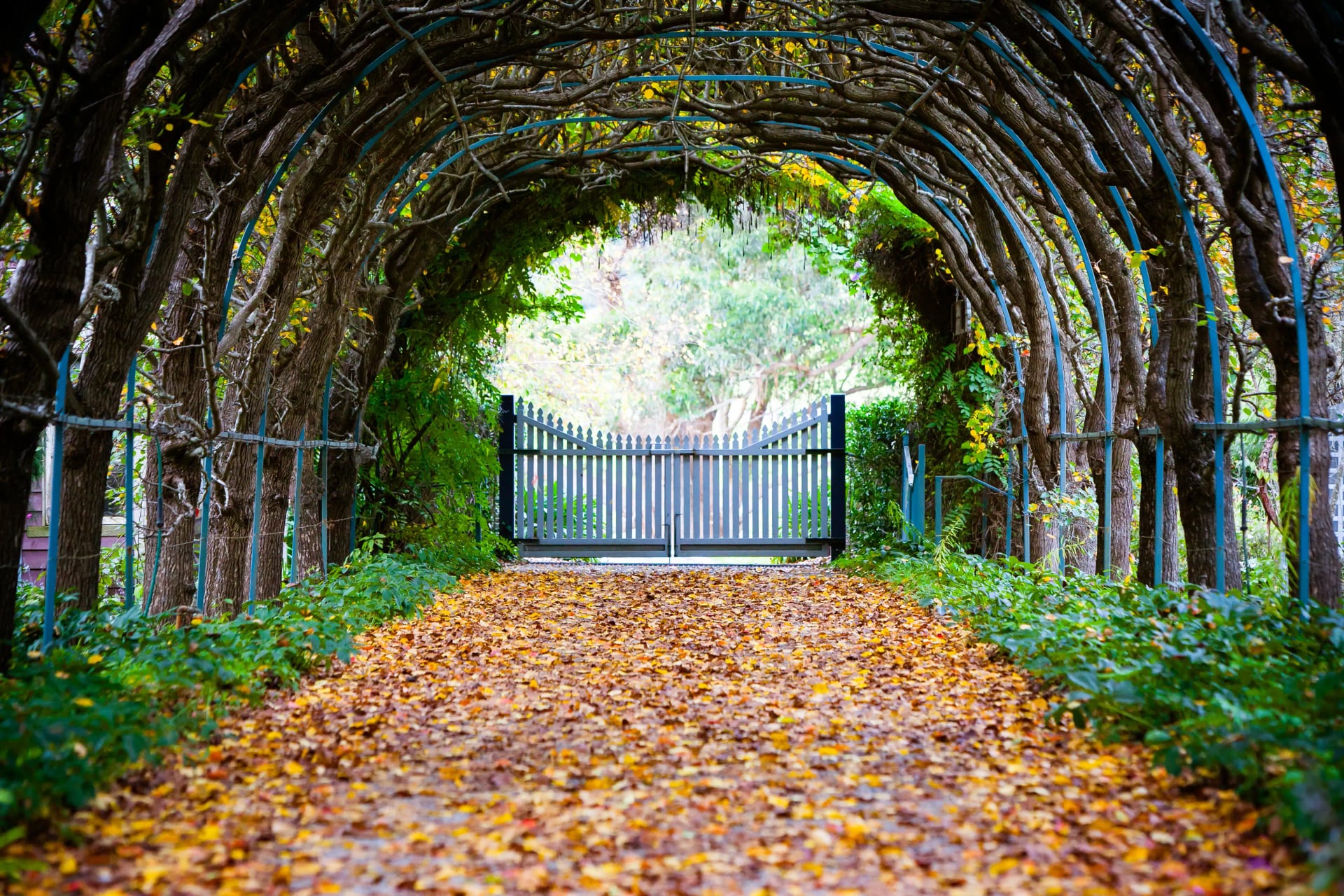 Portail au bout d'un chemin